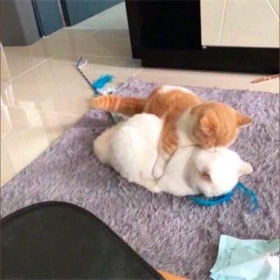 Hendra Gunawan avatar