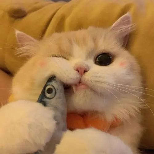 Agus Setiawan avatar